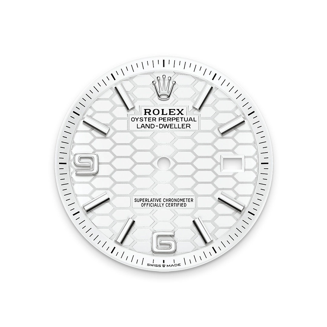 Rolex Land-Dweller 40