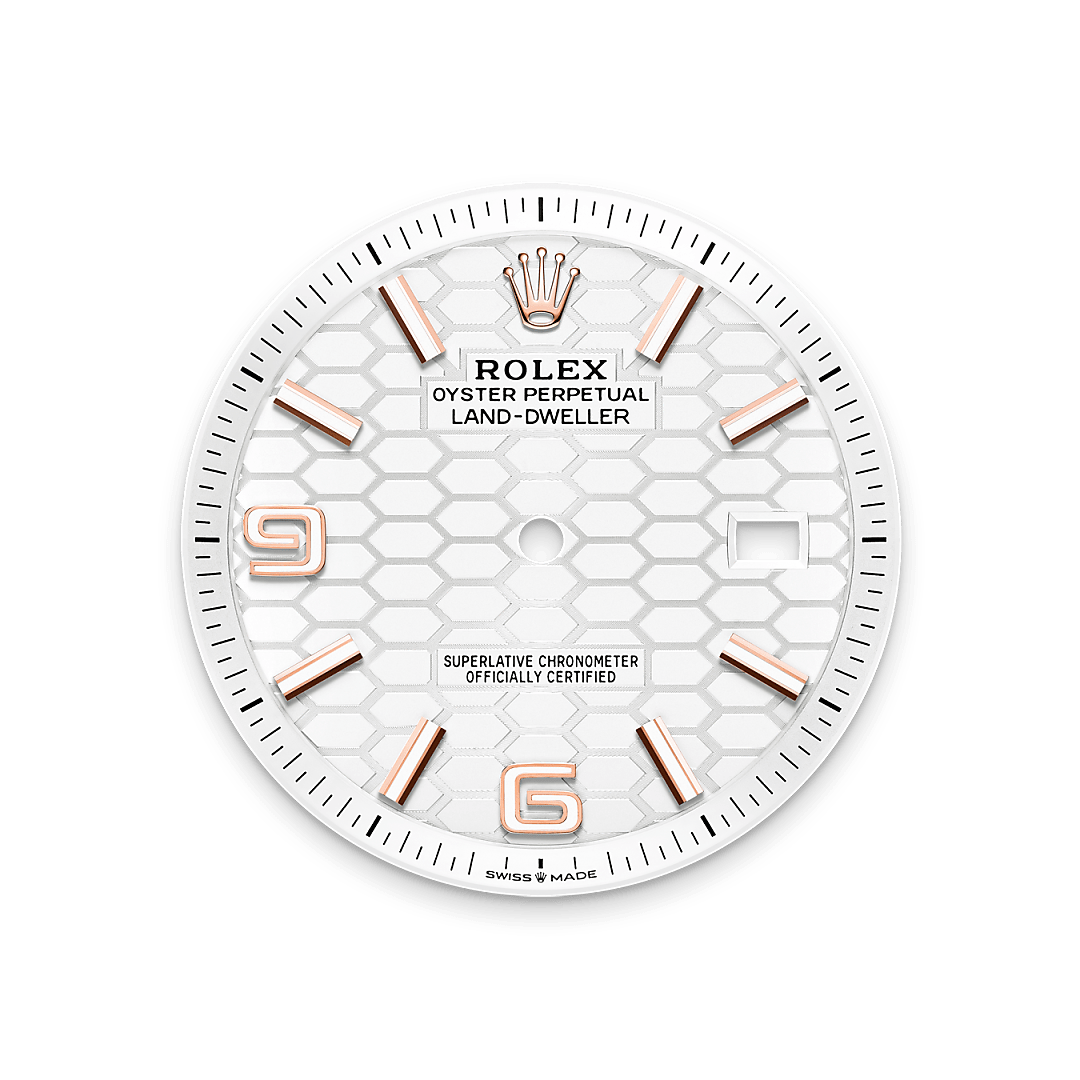 Rolex Land-Dweller 40