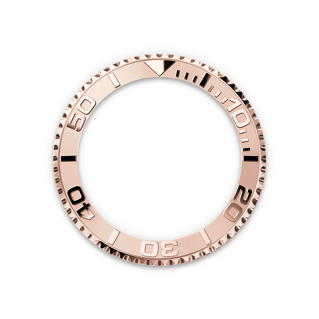 m126621-0002_bezel