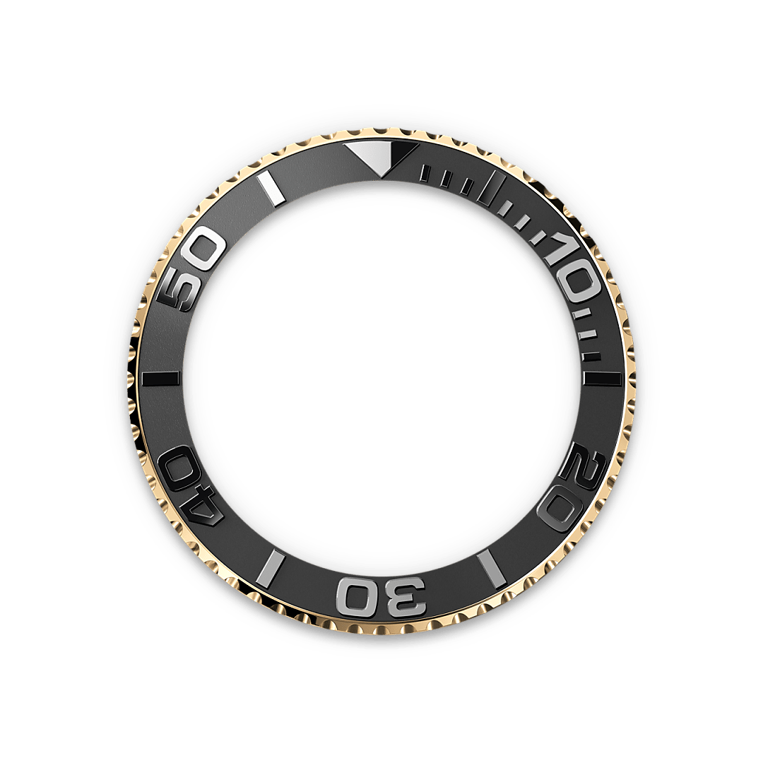 m226658-0001_bezel